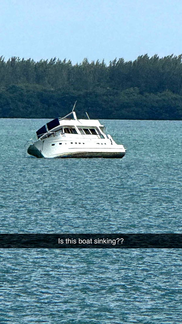 camilla_classy image ~ Altpins