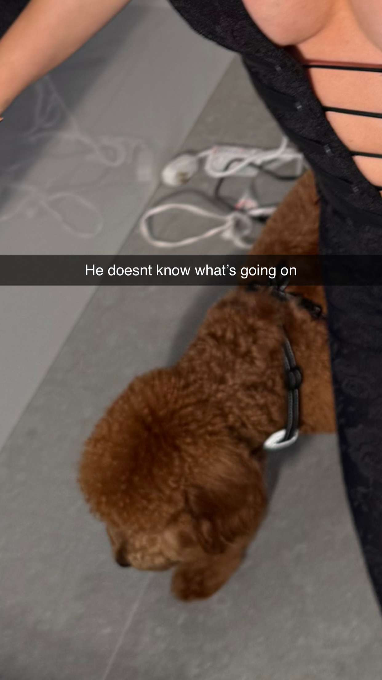 camilla_classy snapchat image archive image