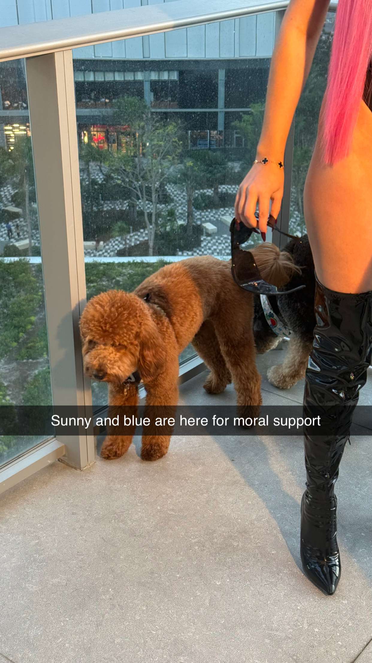 camilla_classy snapchat image archive image