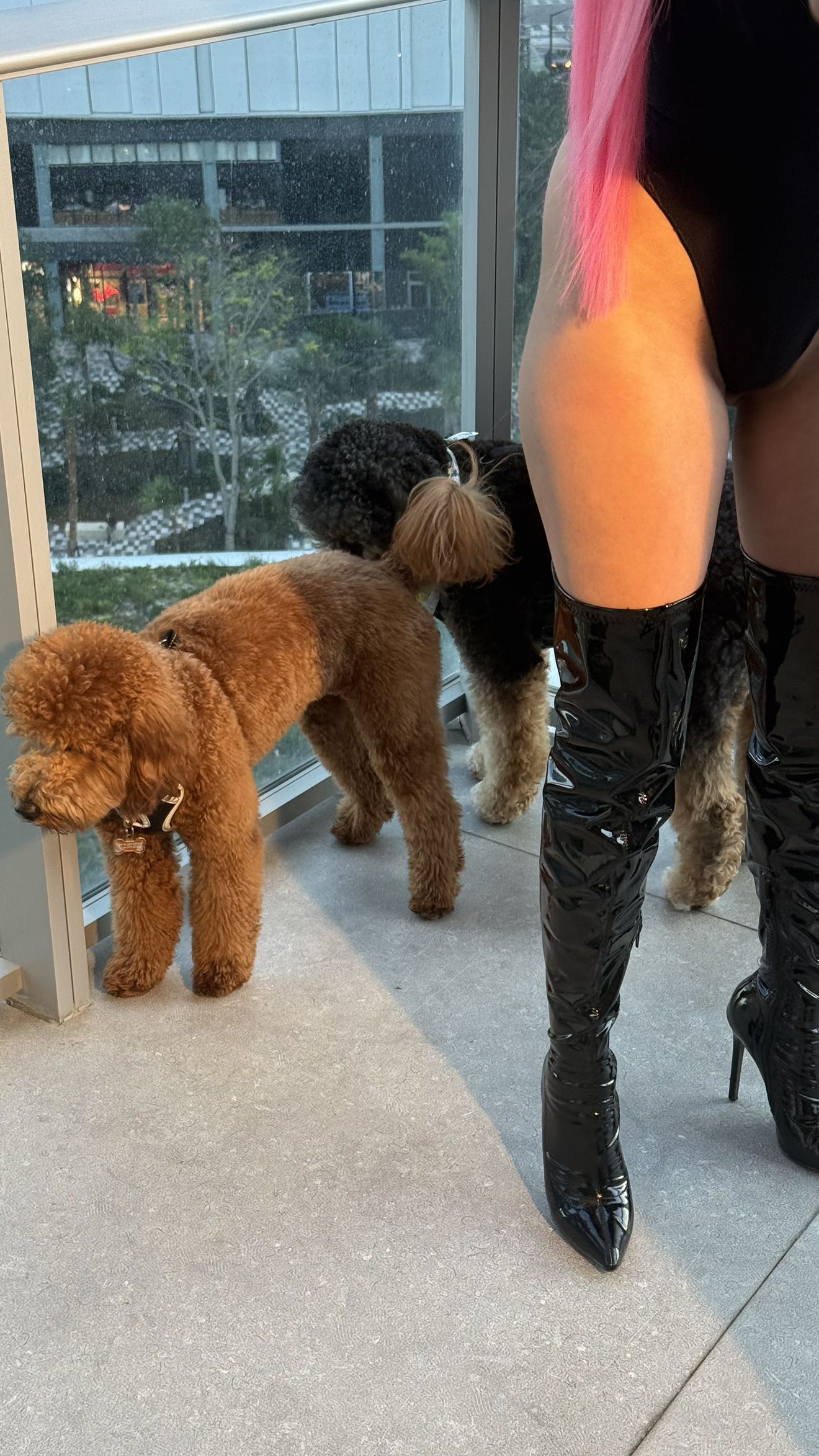 camilla_classy snapchat image archive image