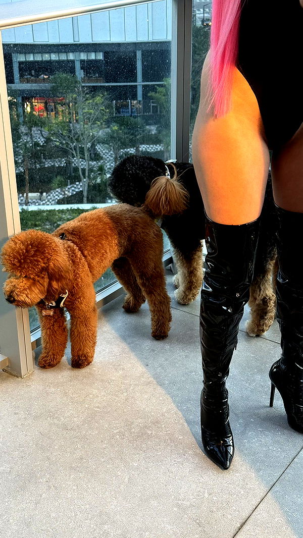 camilla_classy image ~ Altpins