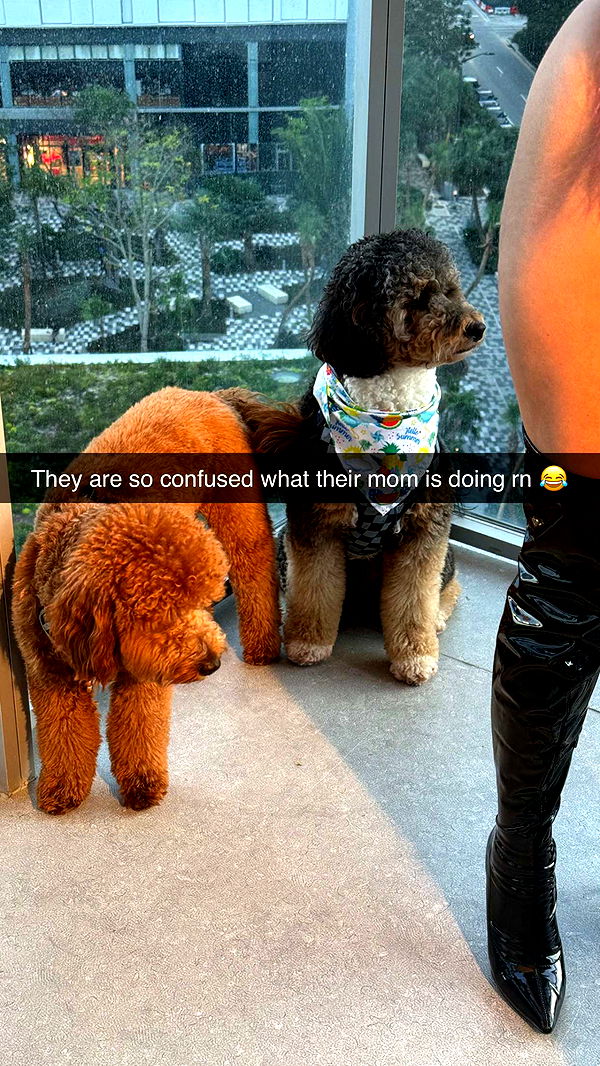 camilla_classy image ~ Altpins