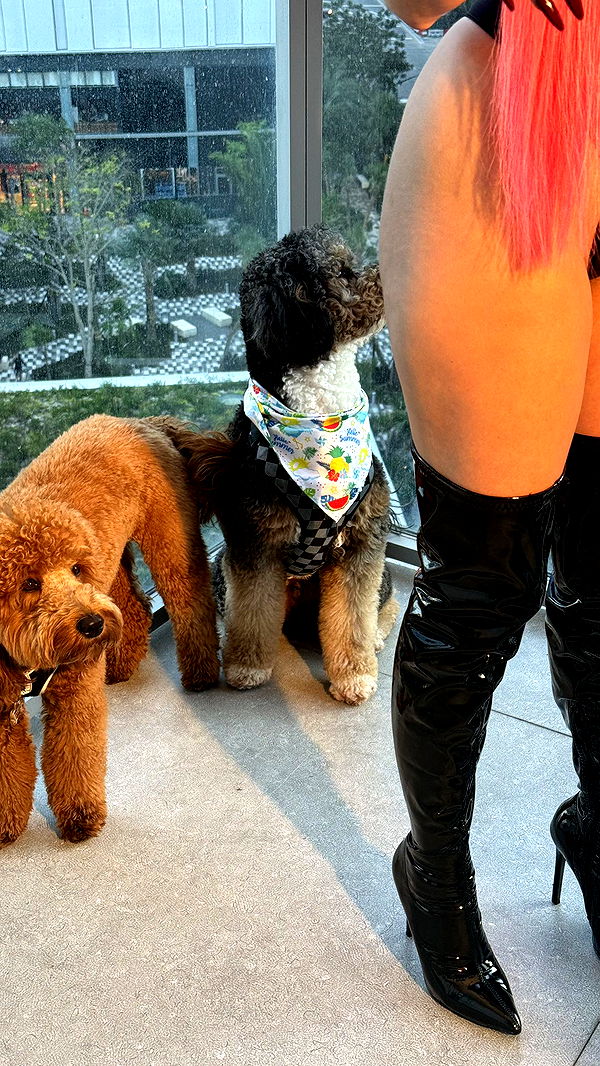 camilla_classy image ~ Altpins