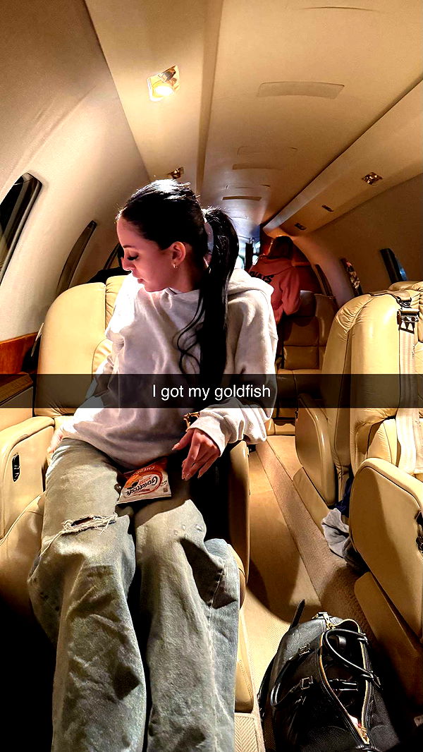 camilla_classy image ~ Altpins