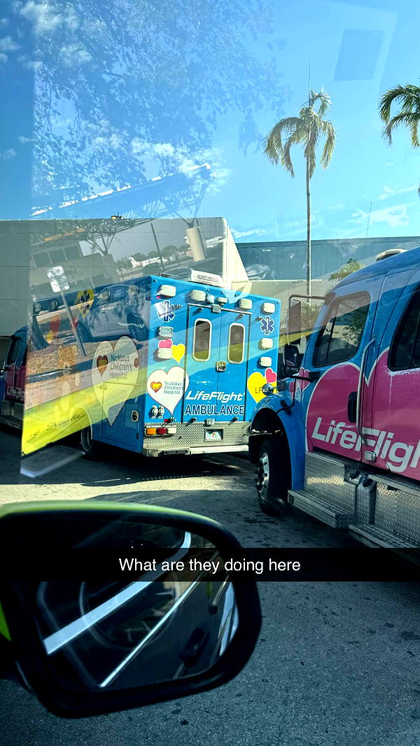 camilla_classy image ~ Altpins