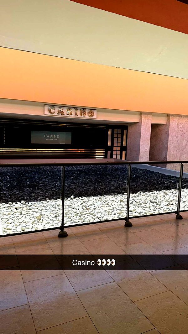 camilla_classy image ~ Altpins