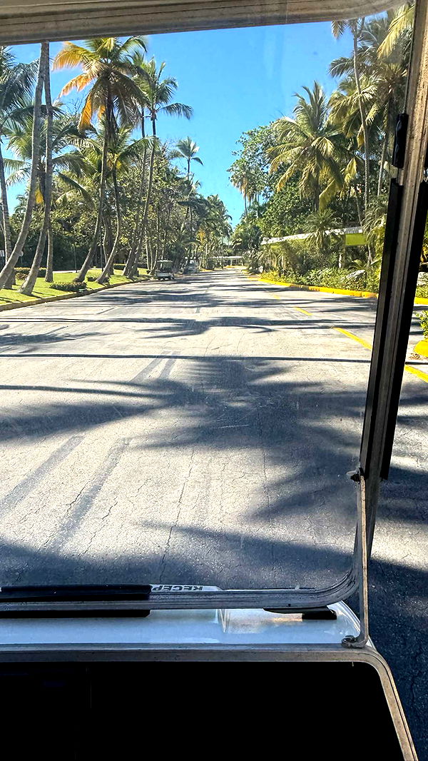 camilla_classy image ~ Altpins