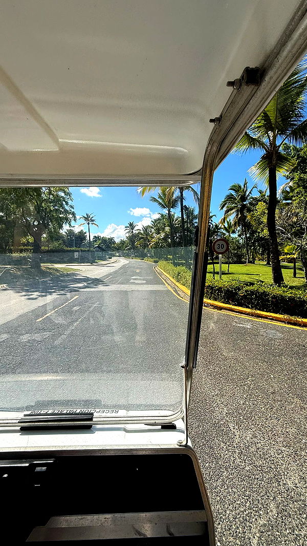 camilla_classy image ~ Altpins