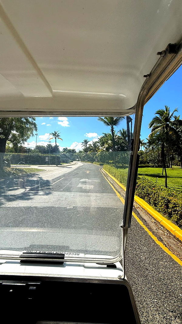 camilla_classy image ~ Altpins