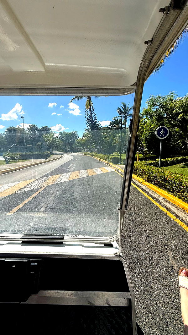 camilla_classy image ~ Altpins