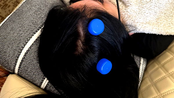 camilla_classy image ~ Altpins