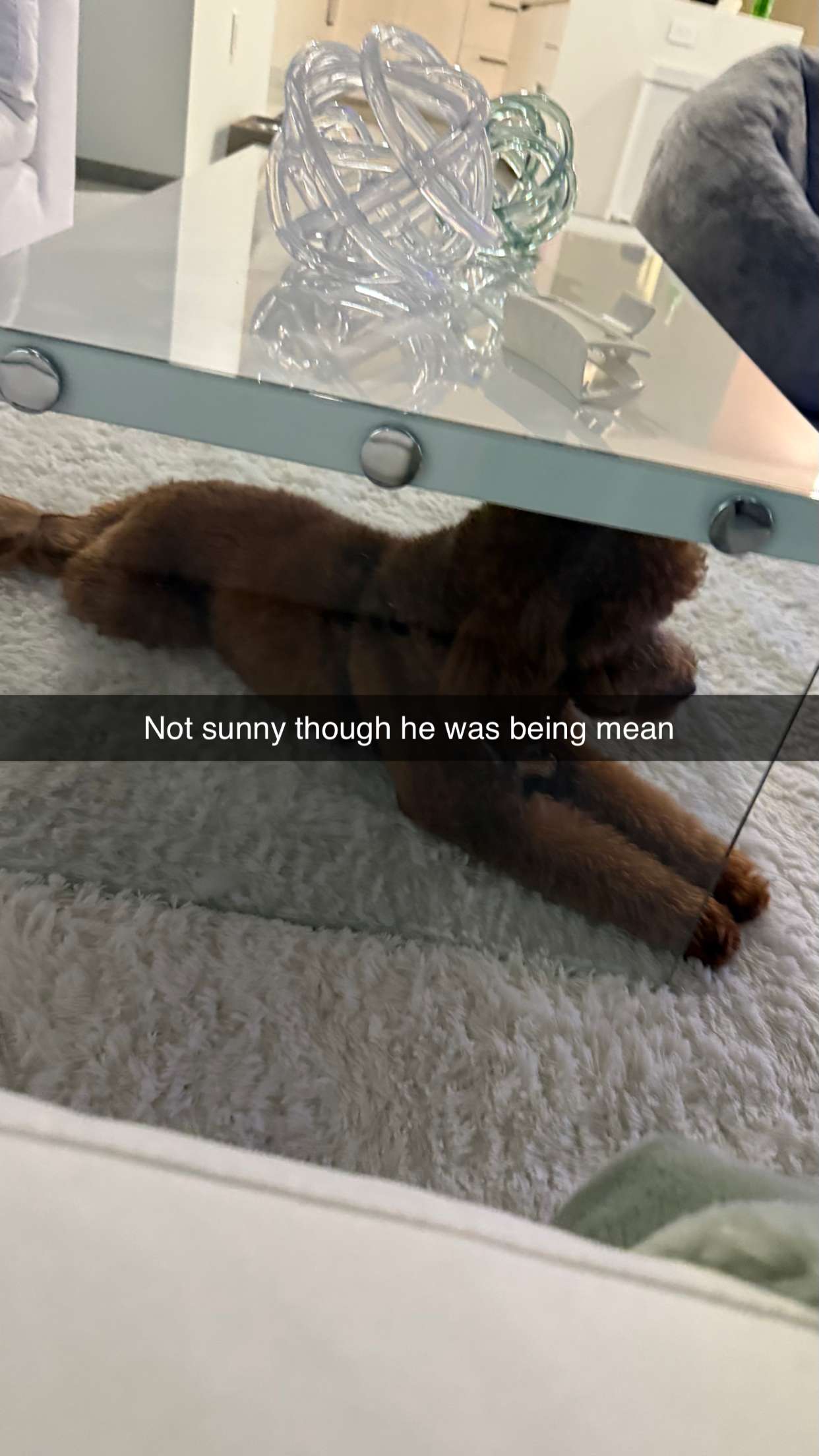 camilla_classy snapchat image archive image