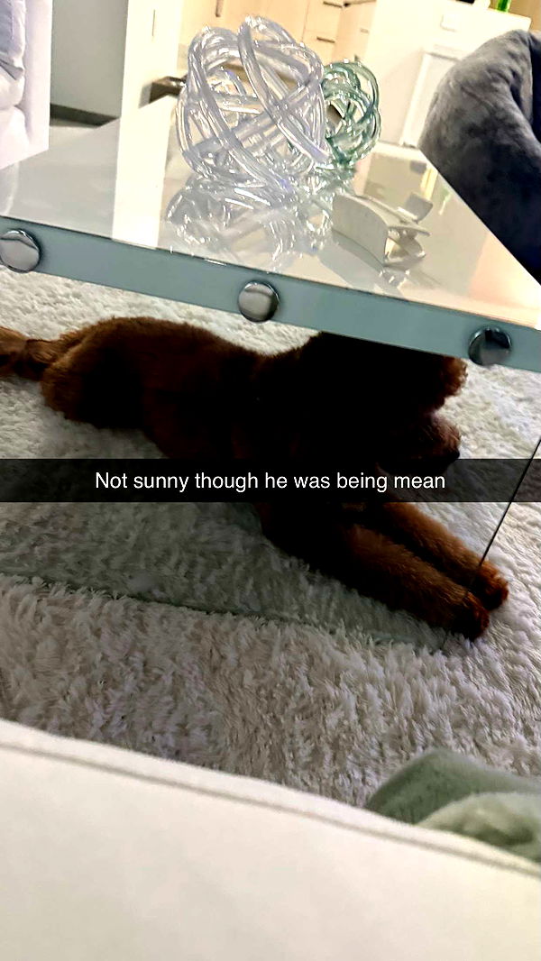 camilla_classy image ~ Altpins