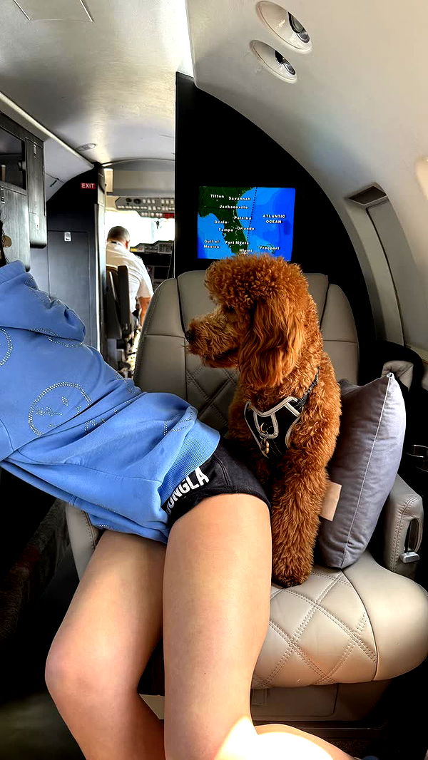 camilla_classy image ~ Altpins