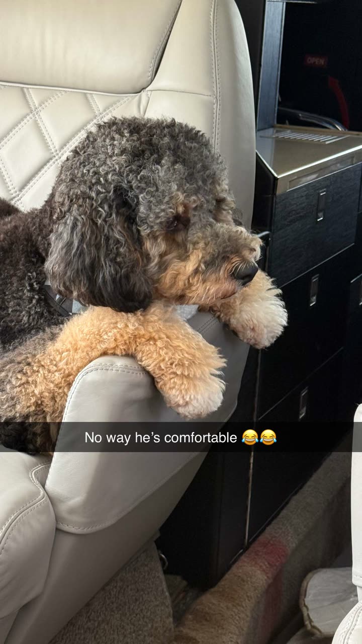 camilla_classy snapchat image archive image