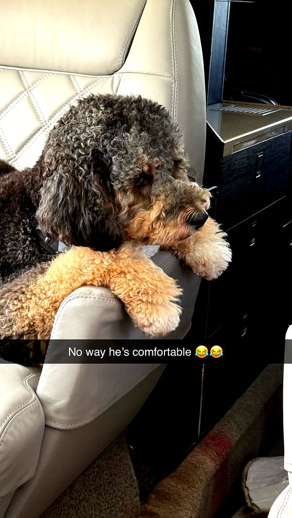 camilla_classy image ~ Altpins