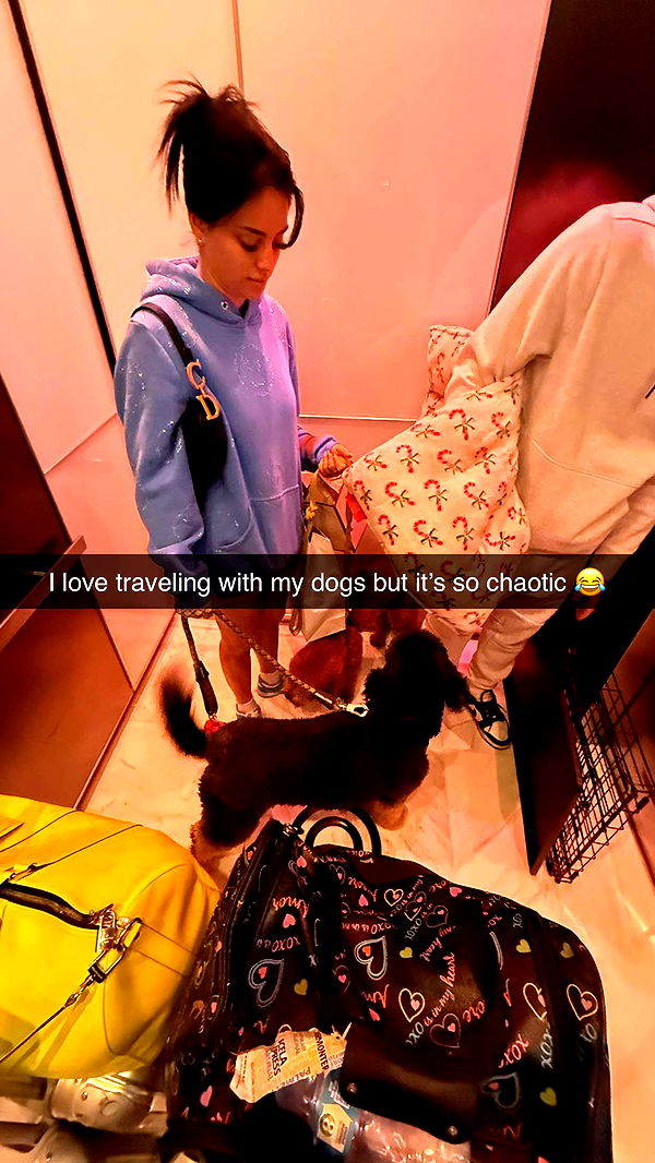 camilla_classy image ~ Altpins