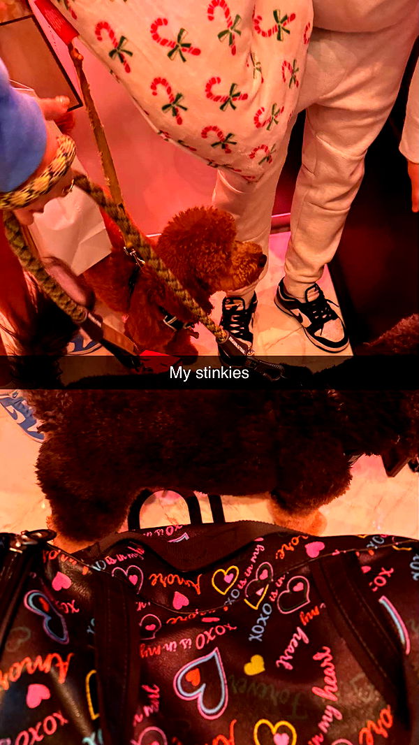 camilla_classy image ~ Altpins