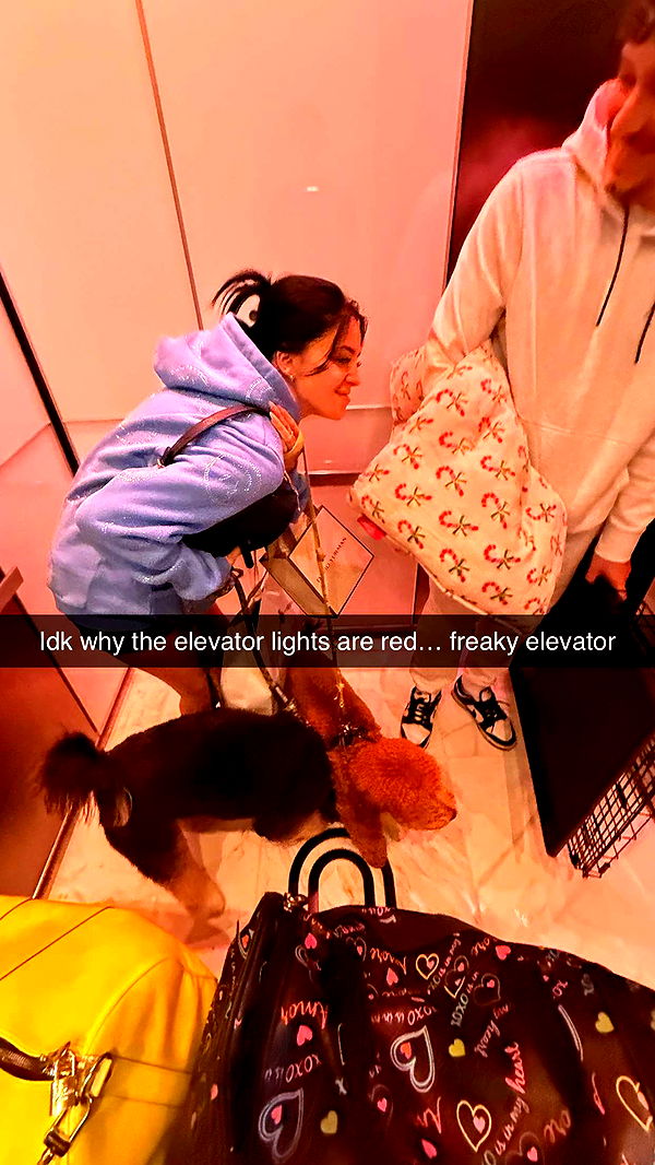 camilla_classy image ~ Altpins