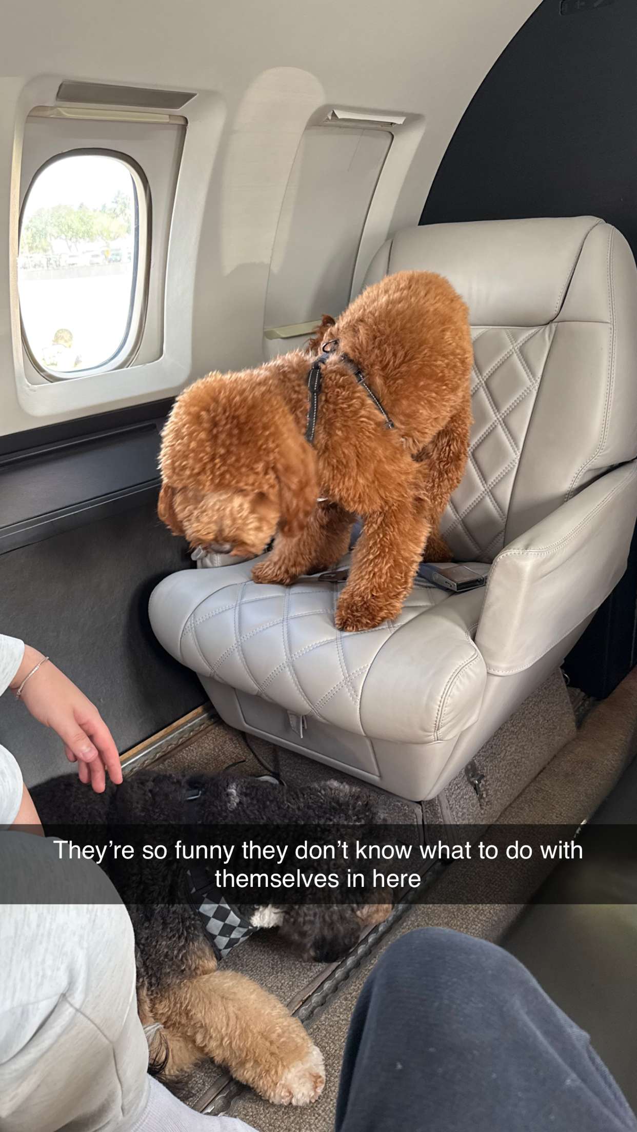 camilla_classy snapchat image archive image