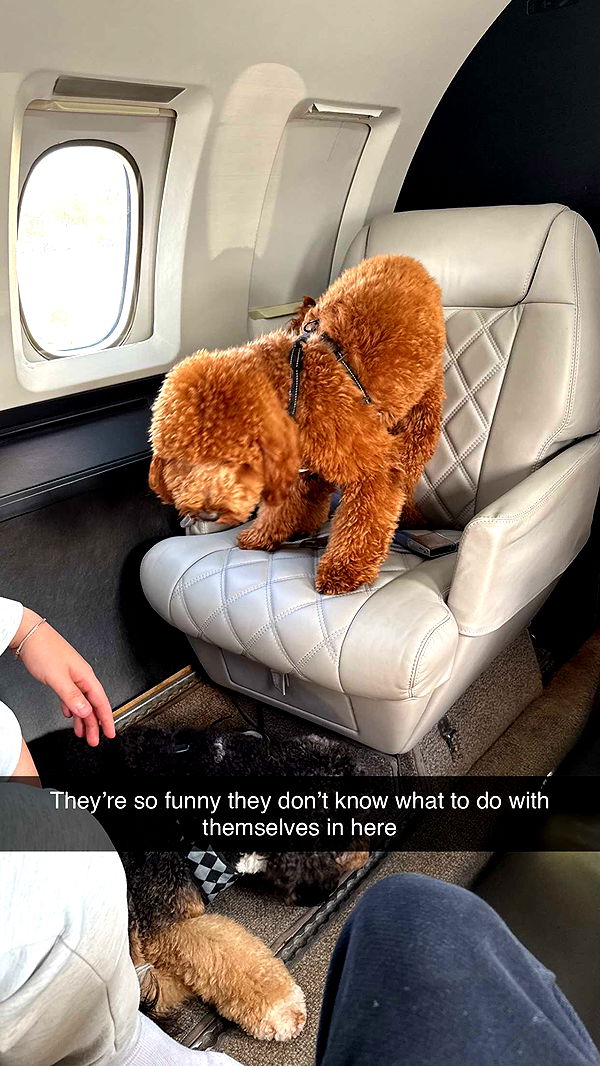 camilla_classy image ~ Altpins