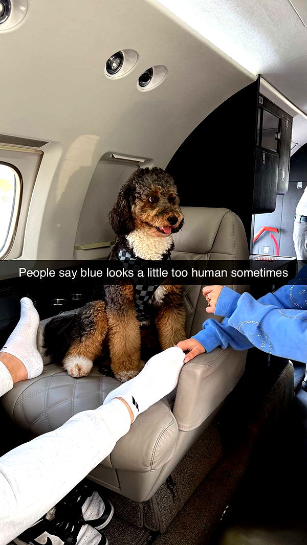 camilla_classy image ~ Altpins