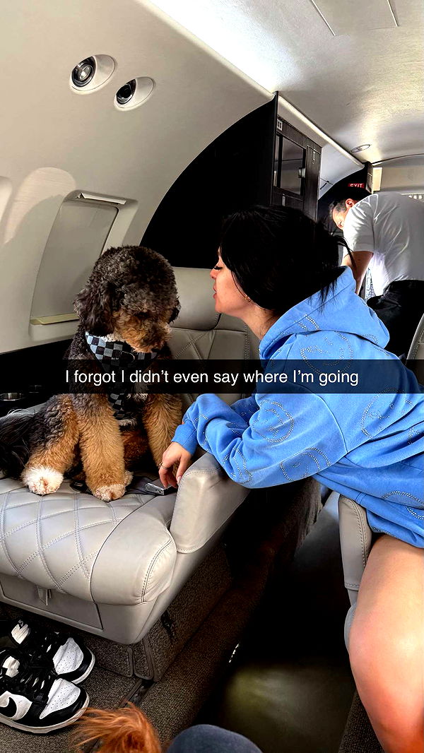 camilla_classy image ~ Altpins