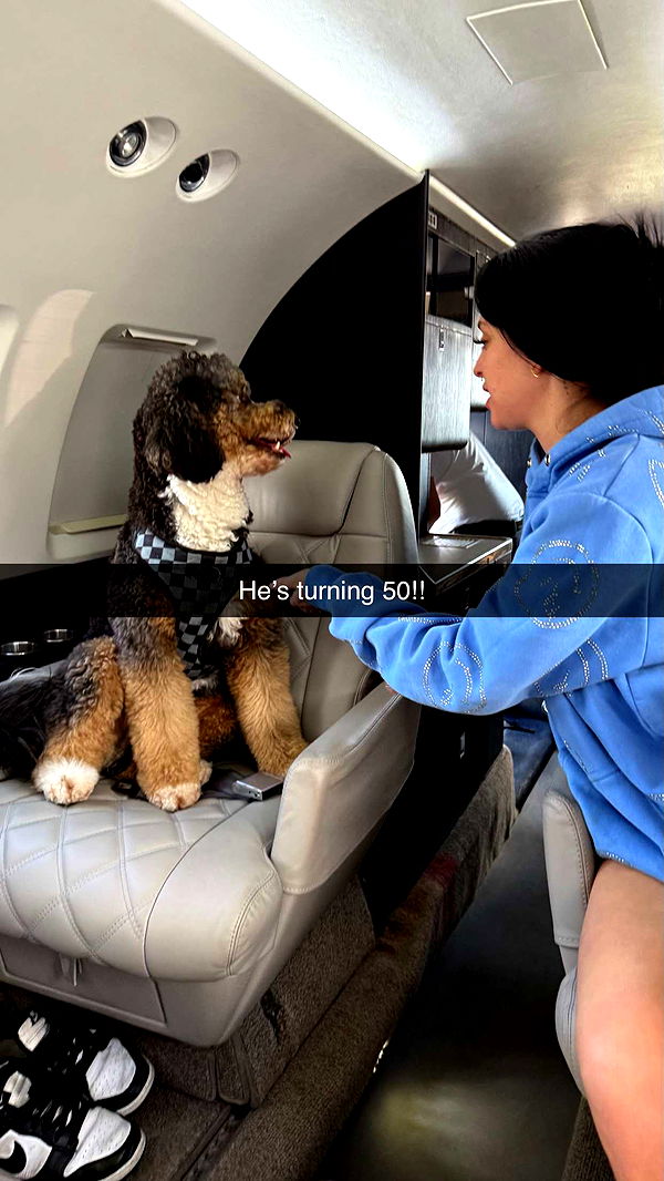 camilla_classy image ~ Altpins