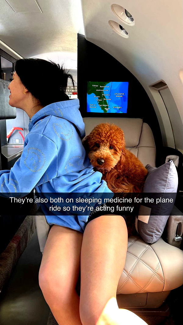 camilla_classy image ~ Altpins