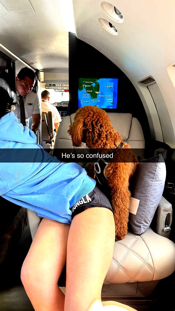 camilla_classy image ~ Altpins