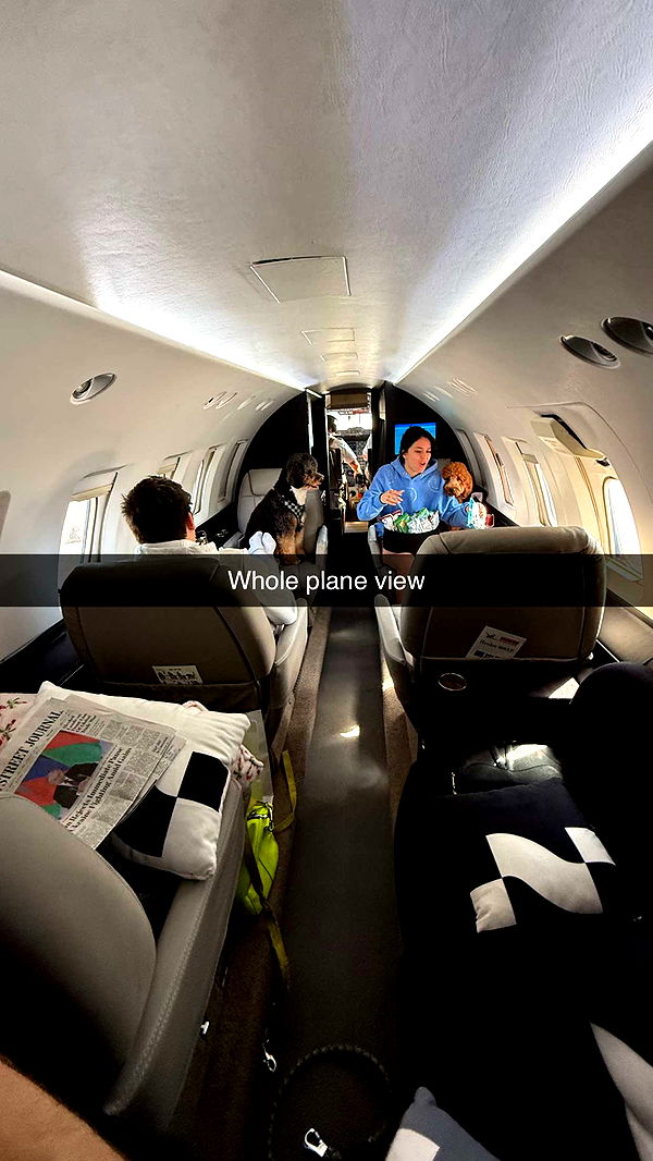 camilla_classy image ~ Altpins