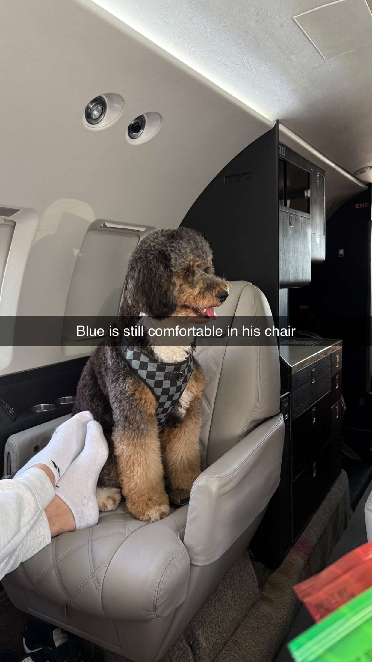 camilla_classy snapchat image archive image