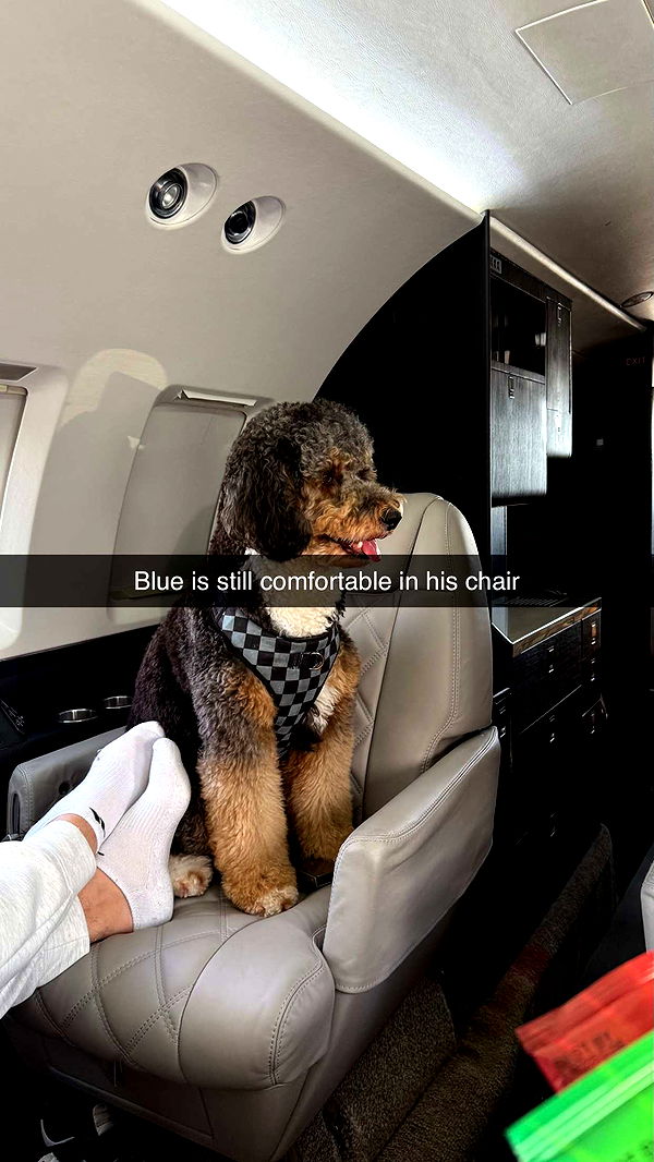 camilla_classy image ~ Altpins