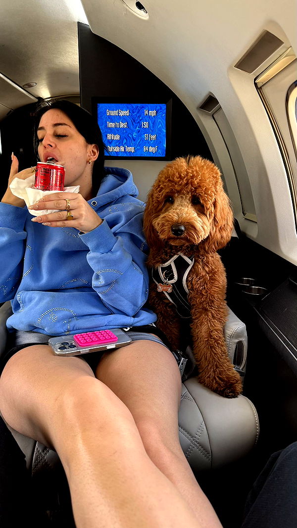 camilla_classy image ~ Altpins