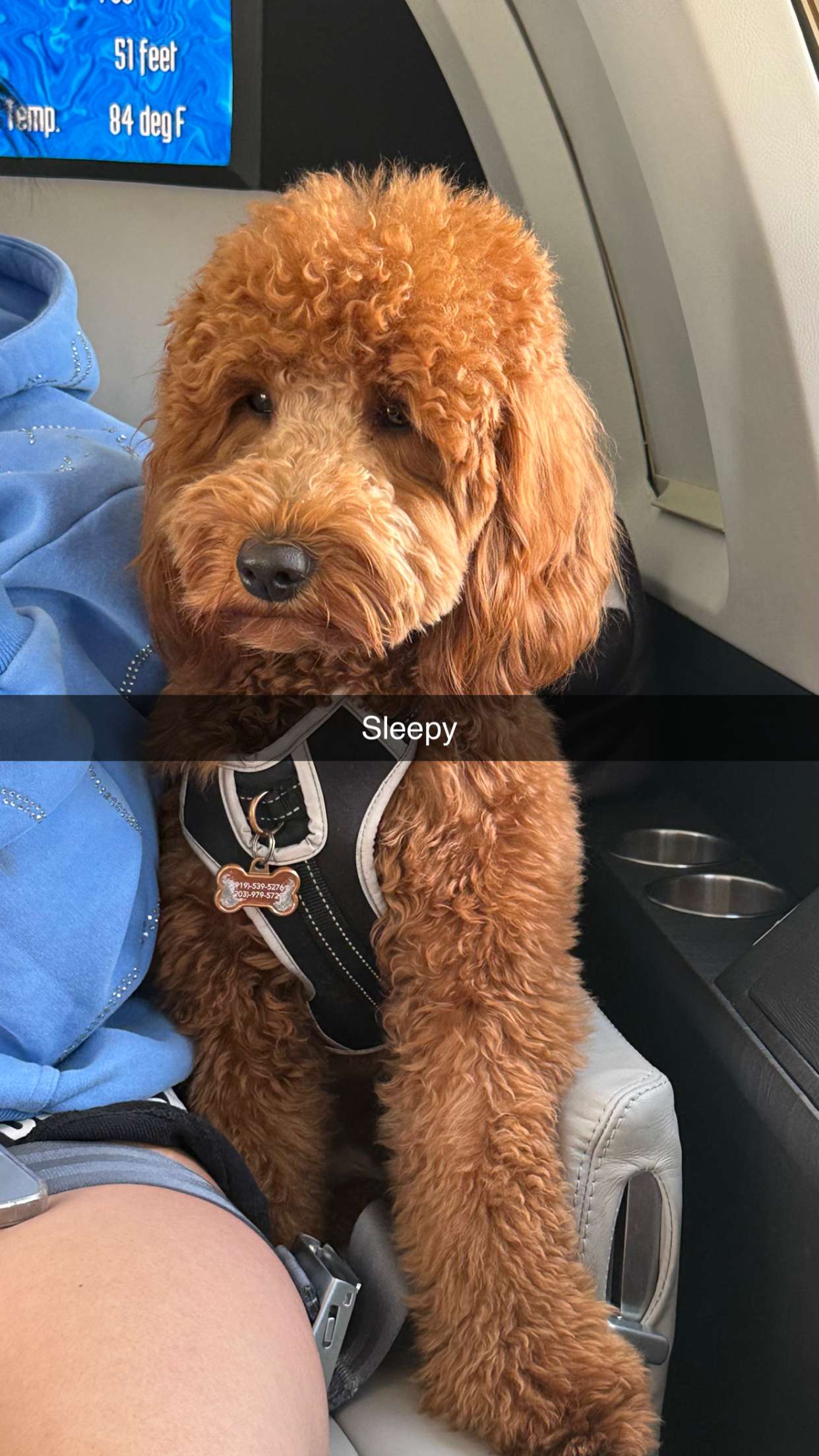 camilla_classy snapchat image archive image