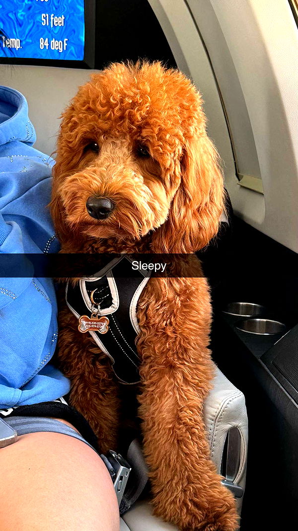 camilla_classy image ~ Altpins