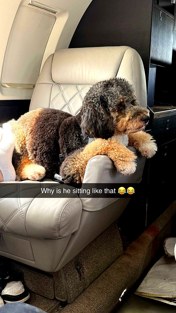 camilla_classy image ~ Altpins