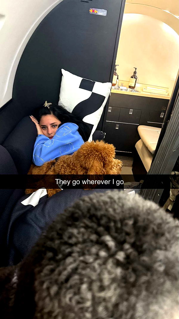 camilla_classy image ~ Altpins