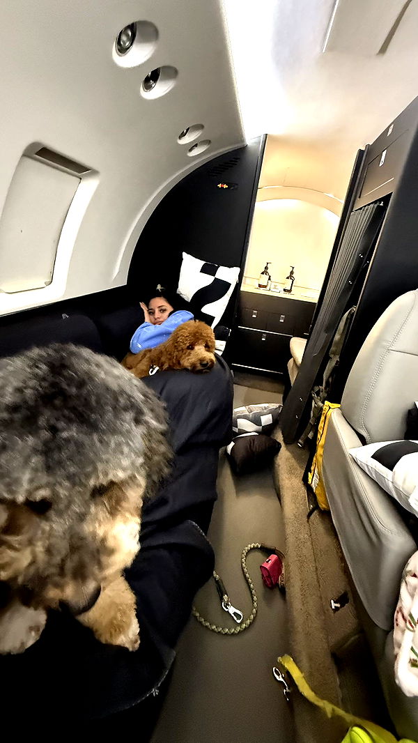 camilla_classy image ~ Altpins