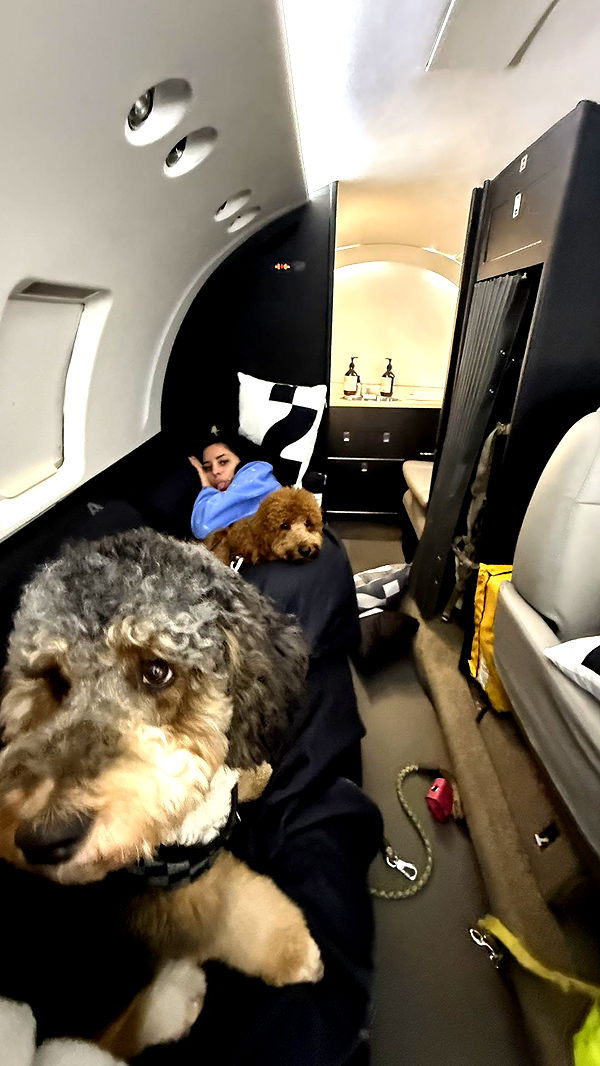 camilla_classy image ~ Altpins