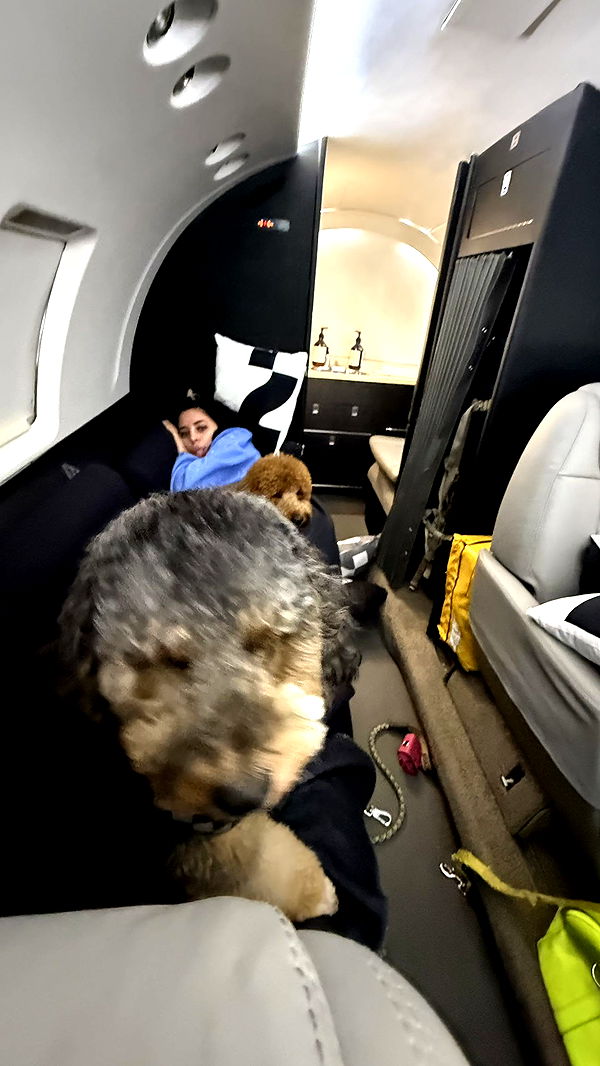 camilla_classy image ~ Altpins