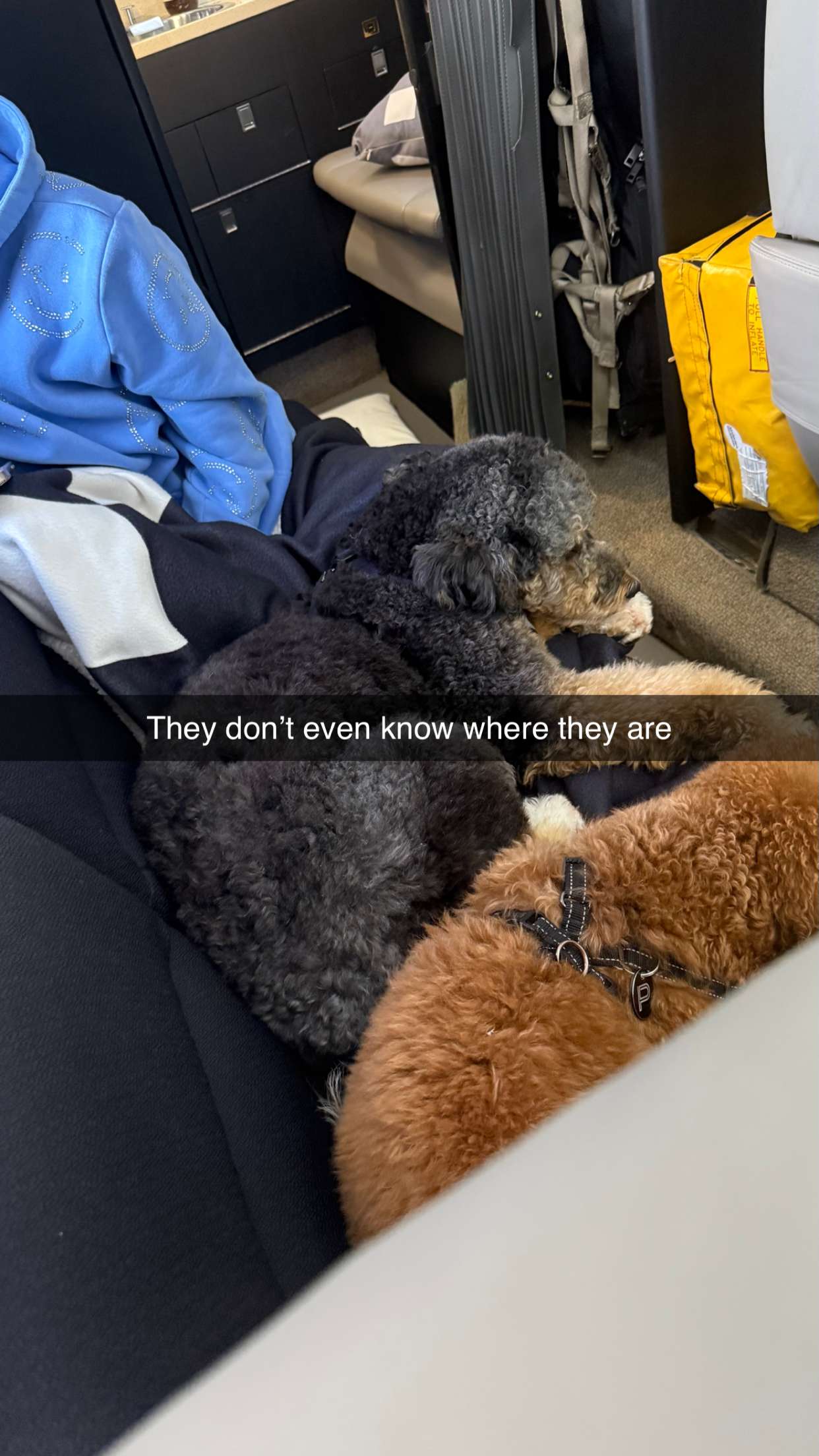 camilla_classy snapchat image archive image