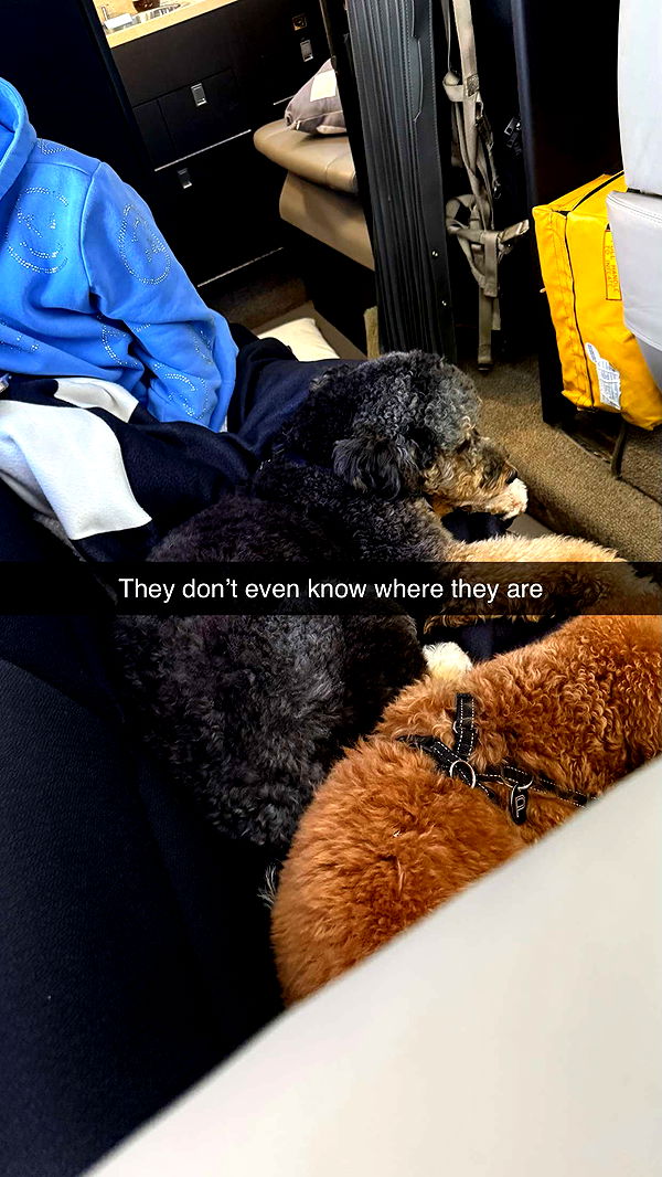 camilla_classy image ~ Altpins