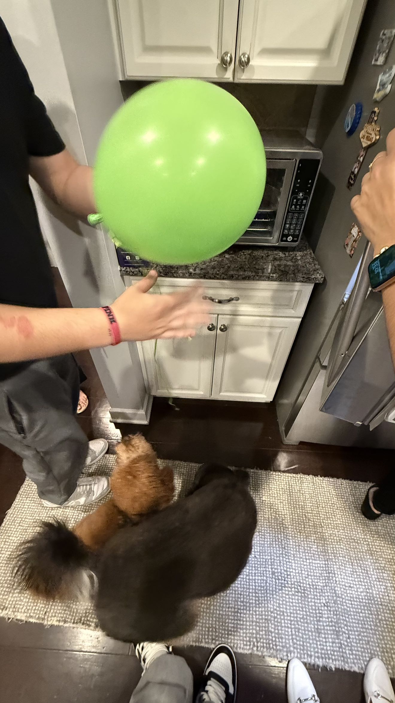 camilla_classy snapchat image archive image