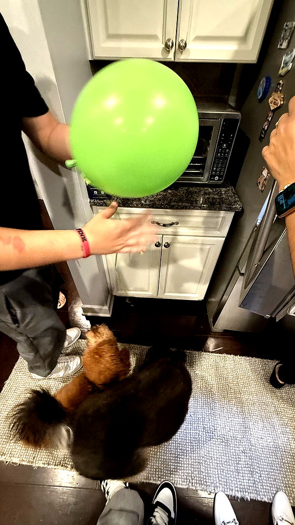 camilla_classy image ~ Altpins