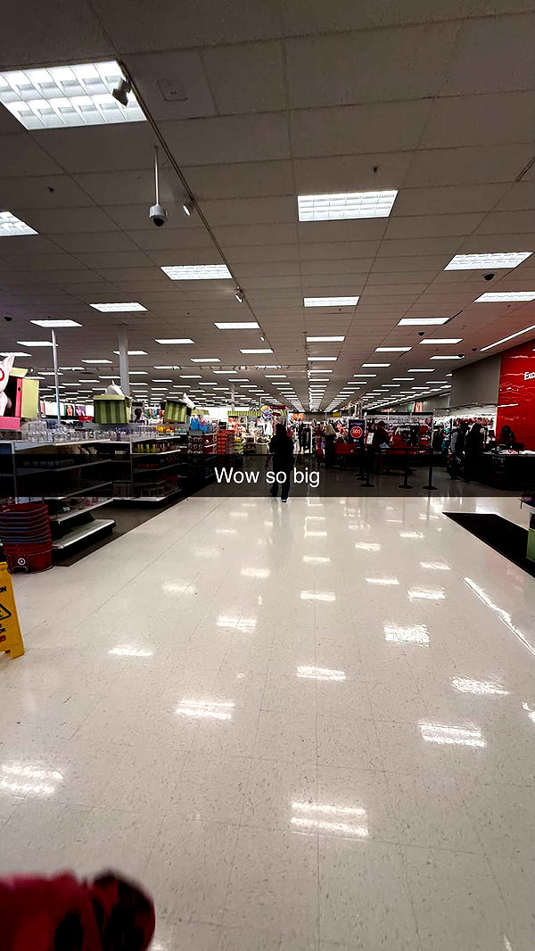 camilla_classy image ~ Altpins