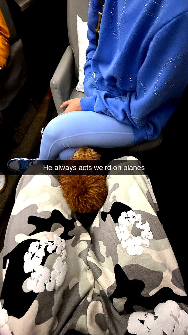 camilla_classy image ~ Altpins