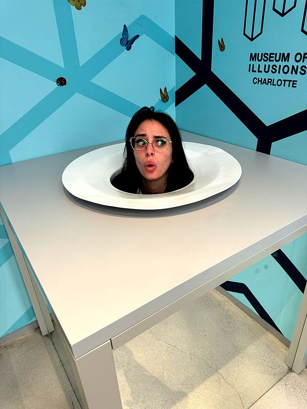 camilla_classy image ~ Altpins