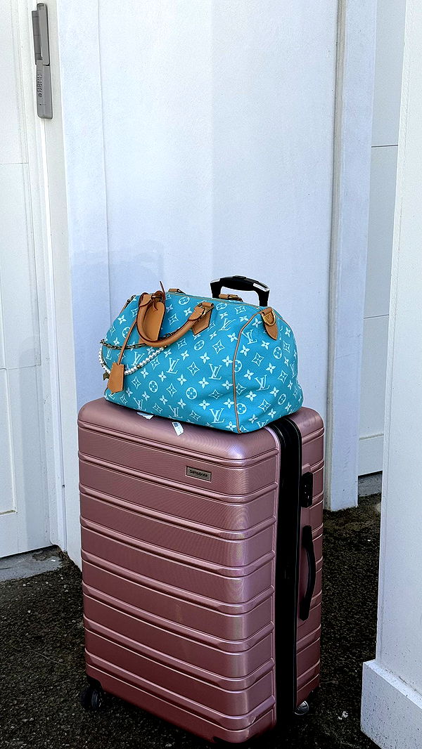 camilla_classy image ~ Altpins