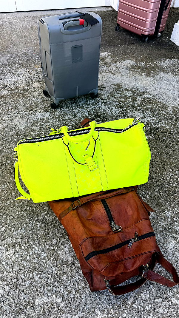 camilla_classy image ~ Altpins